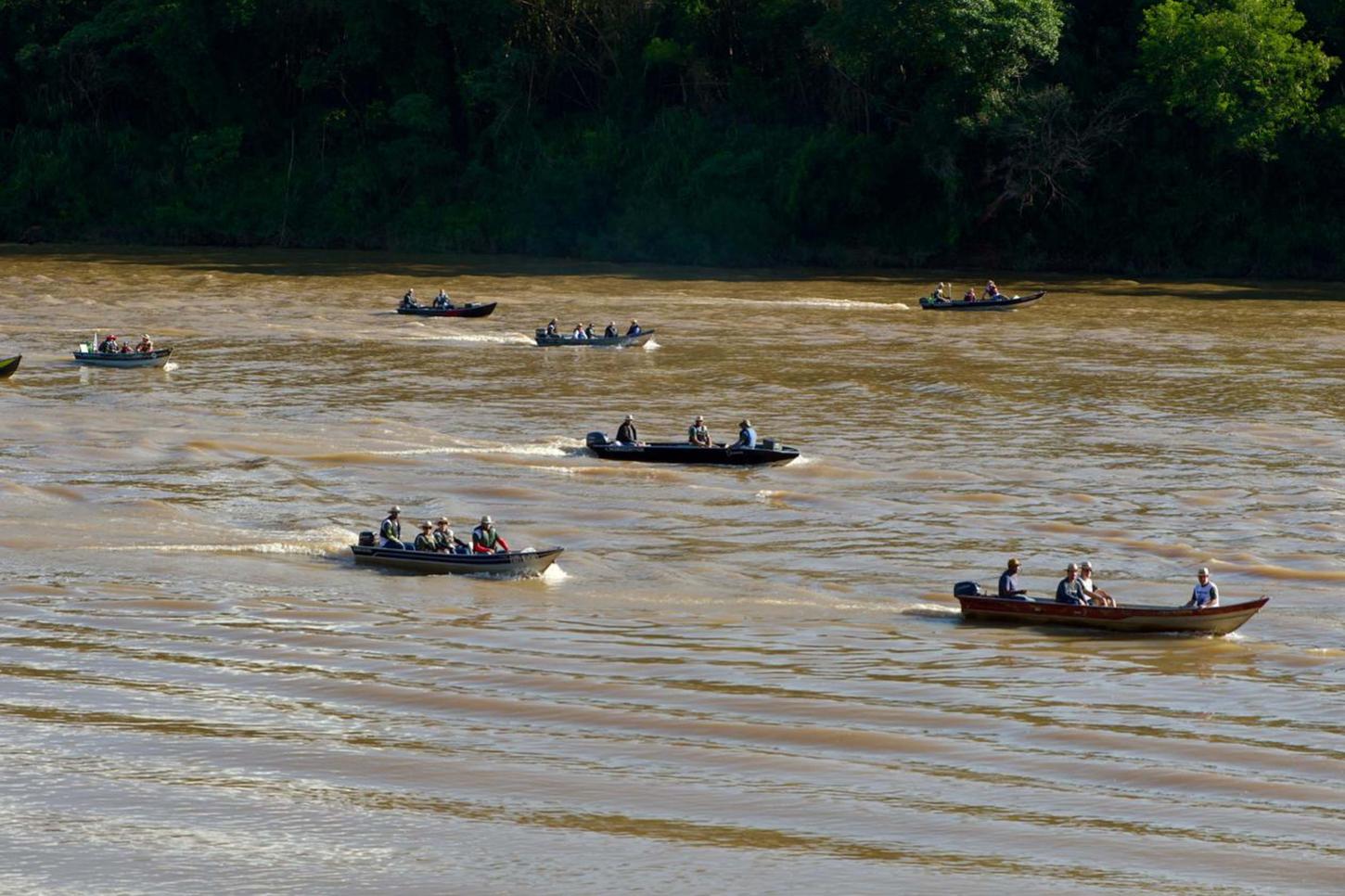 Nova fase do Rio Vivo começa com a soltura de 100 mil peixes no Rio Ivaí, no Noroeste