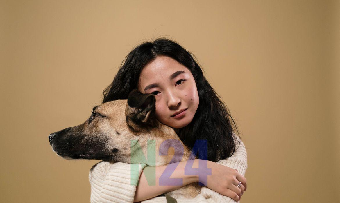 Seu Pet Assustado com os Fogos? Veja como garantir um Ano Novo mais tranquilo!