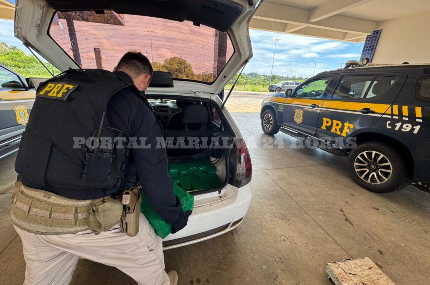 PRF prende casal transportando 131 kg de maconha em carro com criança e cachorro no Noroeste do Paraná