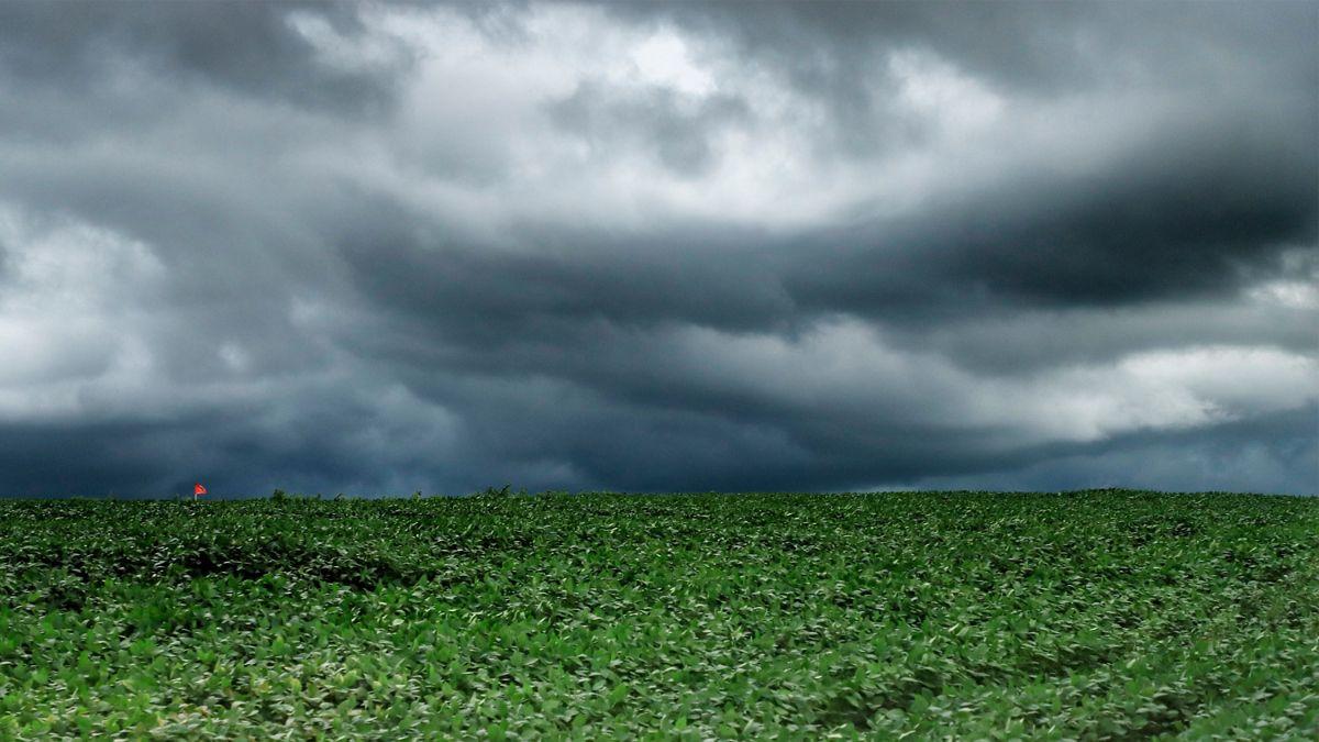 Alerta da Defesa Civil: Semana será marcada por tempestades e riscos de alagamentos no Paraná; Veja vídeo 